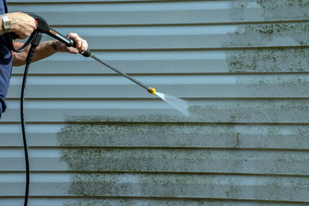 Professional Pressure Washing Services in Ballenger Creek, MD